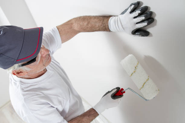 Mold Documentation for Insurance Claims in Maple Lake, MN