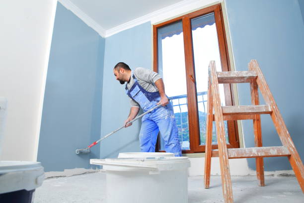 Best Attic Mold Removal  in Maple Lake, MN