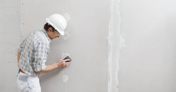 Best Post-Remediation Verification Testing  in Maple Lake, MN