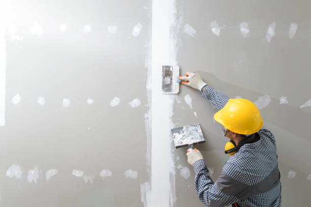 Best Mold Removal for HVAC Installations  in Maple Lake, MN