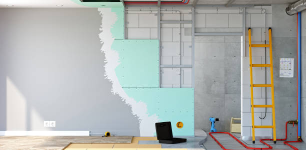 Best Mold Damage Restoration  in Maple Lake, MN