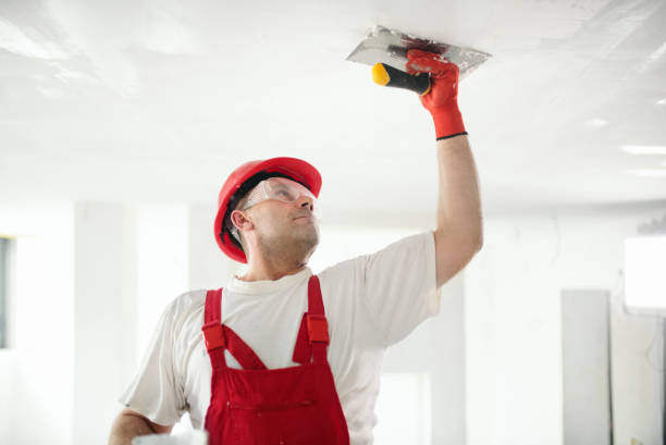 Best Forensic Mold Investigation  in Maple Lake, MN