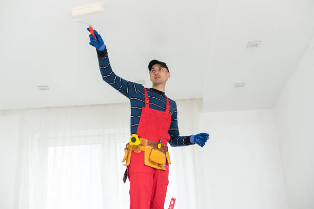Best Air Quality Testing for Mold Spores  in Maple Lake, MN