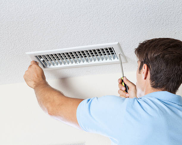 Reliable Maple Lake, MN Mold Removal Solutions