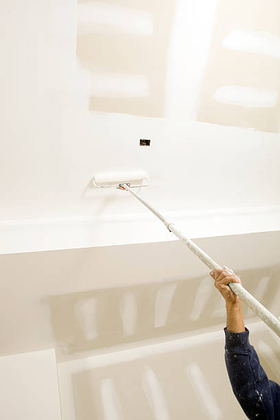 Best Mold Remediation for Healthcare Facilities  in Maple Lake, MN