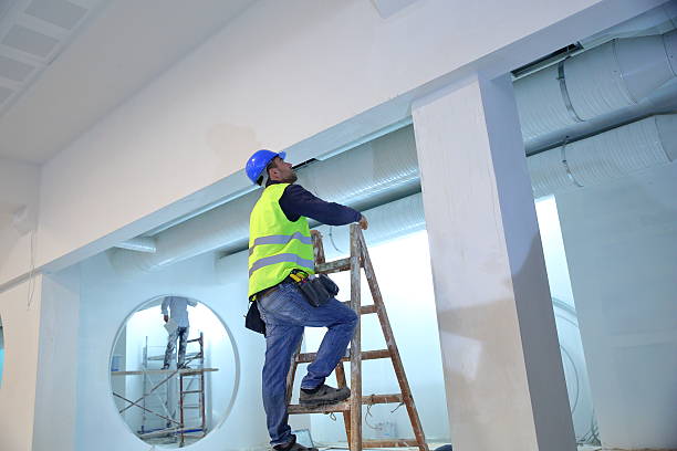 Best Water Damage & Mold Remediation  in Maple Lake, MN