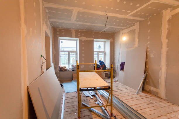 Best Dehumidification Services  in Maple Lake, MN
